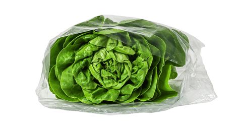 Lettuce bags - OPACKGROUP
