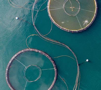 Vrandavan Plastics | Leading HDPE Ropes, Twine, Niwar & Yarn ...