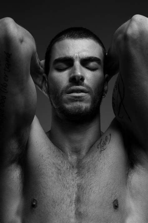 GUI Fedrizzi Male Model 的图像结果