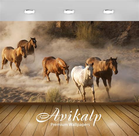 Avikalp Exclusive Awi1957 Running Horses Full HD Wallpapers for Living ...