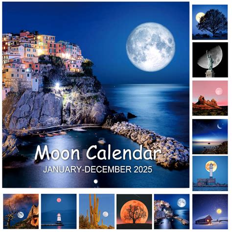 2025 Calendar Wall Calendar 2025 Jan 2025 Dec 2025 12 | Desertcart INDIA