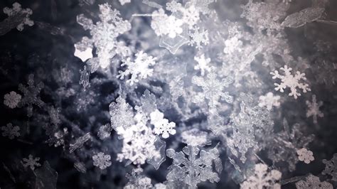Image result for Snowflakes Falling Loop