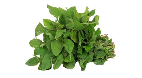 Amaranthus Aritis அரைக்கீரை – OrgFarm