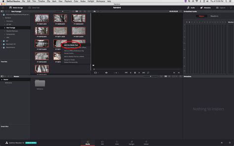Image result for Chapter 2 Importing Clips into Resolve