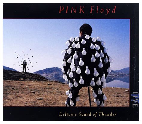 Buy Delicate Sound of Thunder Online at Low Prices in India | Amazon ...
