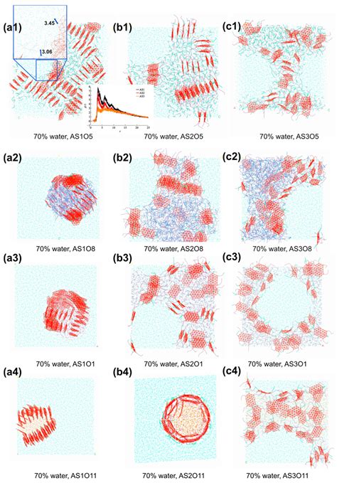 A Dissipative Particle Dynamics Study on the Formation of the Water-In ...