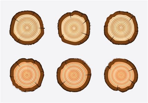 Image result for Tree Ring Cartoon