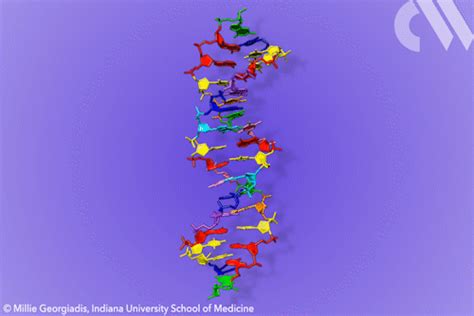 Image result for DNA 80 Box Mod