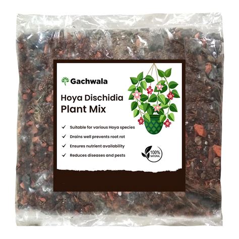 Orchid Potting Mix with Wood and Charcoal Pieces - Orchid Growing Mix ...
