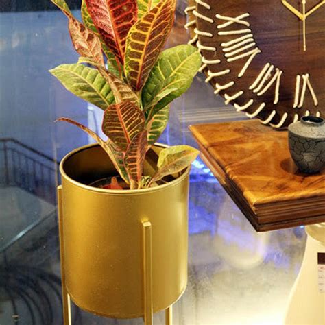 Brass Fininsh Planter Set of three | Jangir Decor