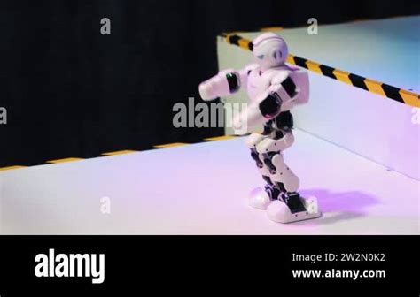 Smart Dancing Robot 的图像结果