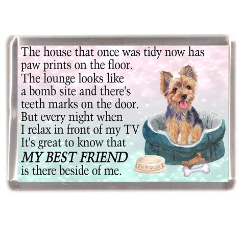 7 A Dog C R Ms B L Shih Tsu Y +++ C $0.99 lumetalplastic.com