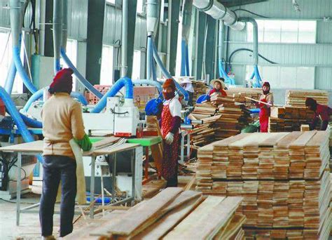 福州嵩口开展木材加工企业生产安全巡查-中国木业网