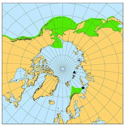 JMSE | Special Issue : Deepwater Fishes
