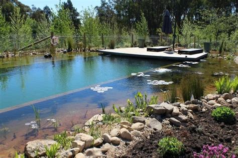 Using a Pool as a Pond 的图像结果