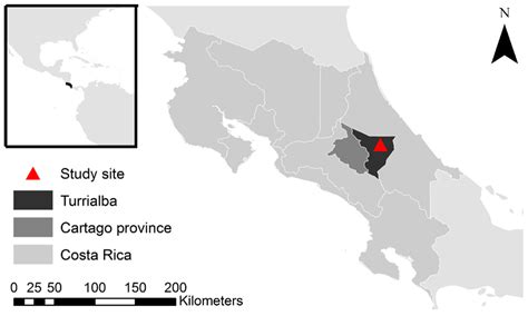 Do Coffee Agroforestry Systems Always Improve Soil Carbon Stocks Deeper ...