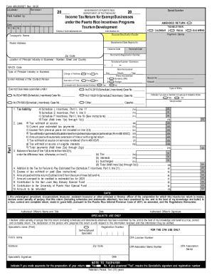PR 480.30(II) 2020 - Fill out Tax Template Online