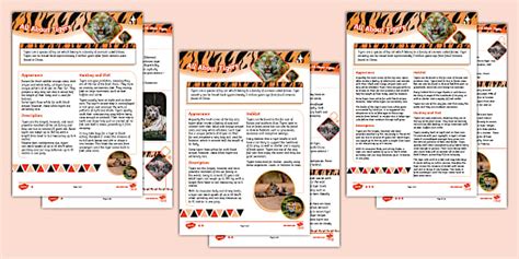 Tigers Differentiated Reading Comprehension Activity