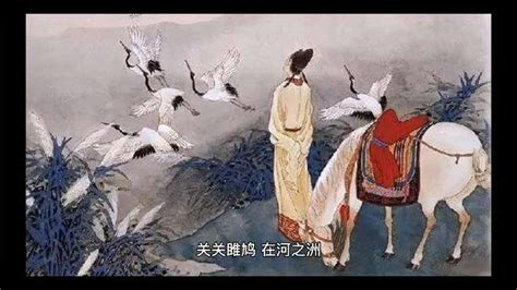 关关雎鸠在河之洲全诗（关雎原文及翻译） - 重庆小潘seo博客
