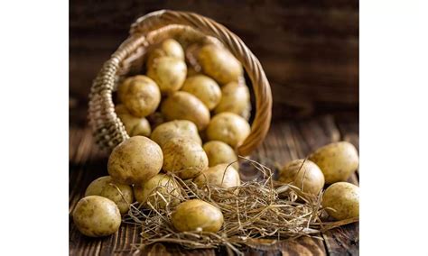 Too Many Potatoes? 10 Risks of Overeating Potatoes You Need to Know!