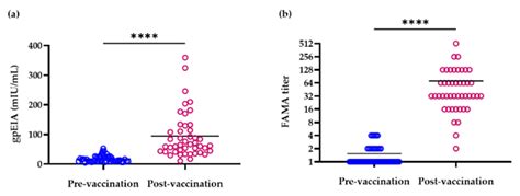 Cross-Sectional Study of Varicella Zoster Virus Immunity in Healthy ...