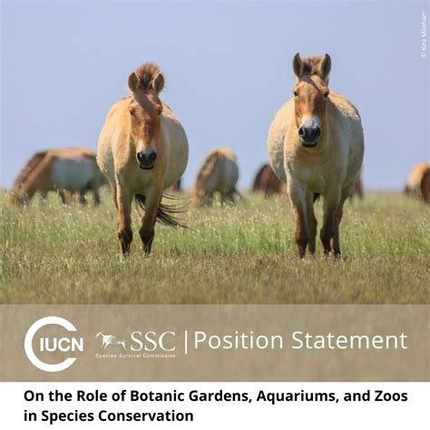 Simon Bruslund on LinkedIn: IUCN SSC Position Statement on the Conservation role of progressive ...
