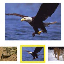 Image result for Remote Viewing Test