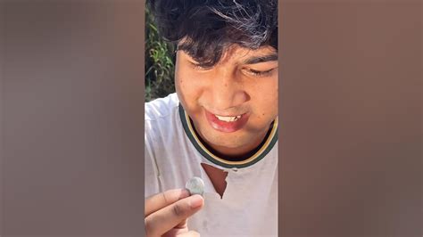 Image result for Lost Spring Class 12 Extra Class