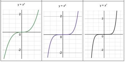 Doing Polynomial Graph Using MS 的图像结果