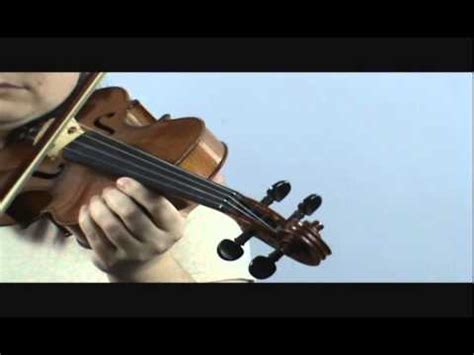 Definición y Características del String en el Arco