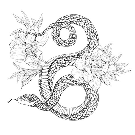 Images de Serpent Svg – Téléchargement gratuit sur Freepik