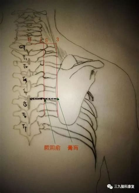 机器学习——准确率、精度、召回率和F1分数 - 等高线 | Spatial