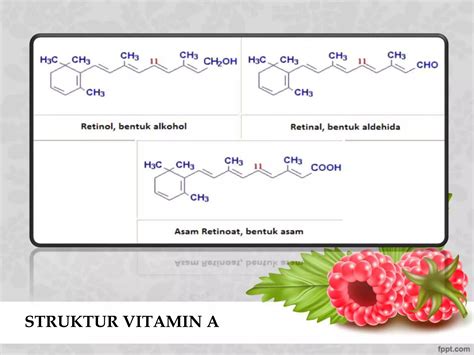 Vitamin | PPTX
