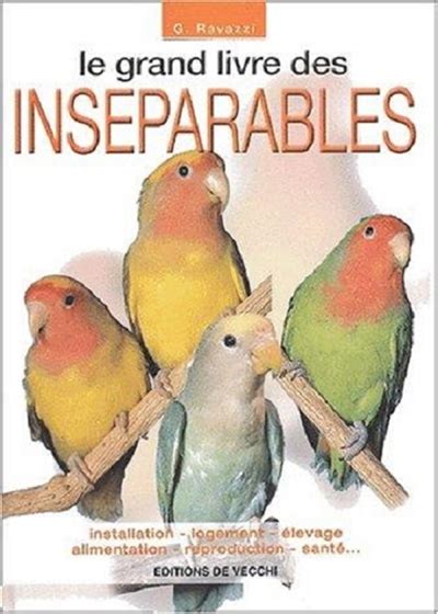 Image result for Elevage Inseparable Conseils