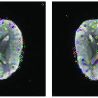 Image result for Key Point Extraction