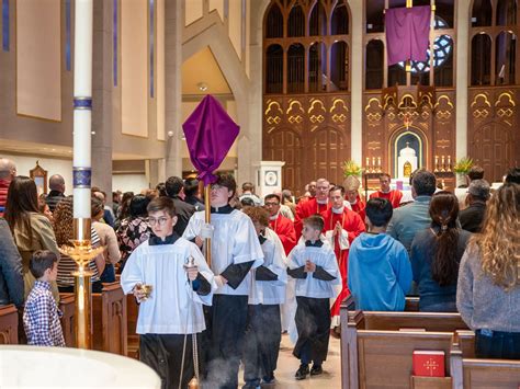 Starting anew on Palm Sunday - Arlington Catholic Herald