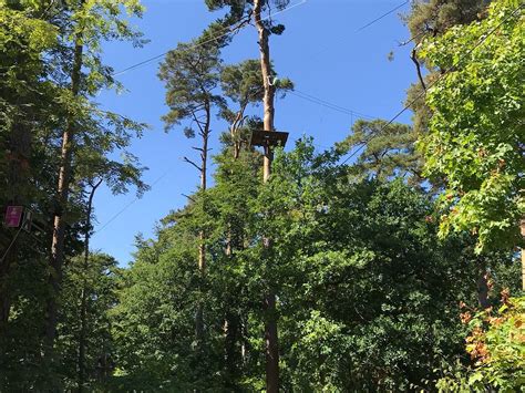 Upzone Adventure Park Angelholm (Ängelholm) - All You Need to Know ...