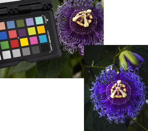 ColorChecker Passport 的图像结果