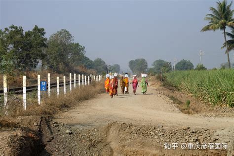 印度农业 的图像结果