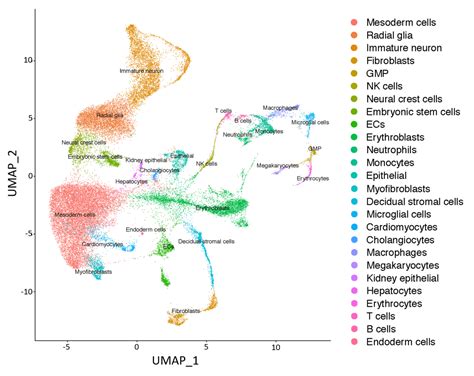 Single Cell Analysis Free Software 的图像结果