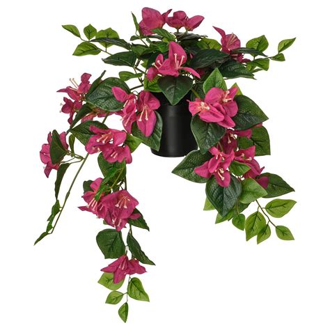 FEJKA artificial potted plant, in/outdoor/Bouganvilla pink, 12 cm (4 ¾ ...