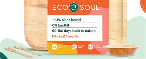 ECO SOUL [10 Pack] Palm Leaf Dinnerware Set |Biodegradable, Disposable ...