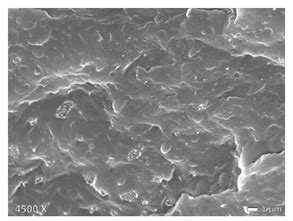 Microstructural Contributions of Different Polyolefins to the ...