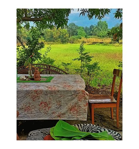 HOUSE OF VANGOGREEN (2026) All You Need to Know BEFORE You Go (with ...