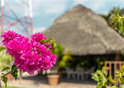 BONITTO INN® GONZALEZ - Lodge Reviews, Photos, Rate Comparison ...