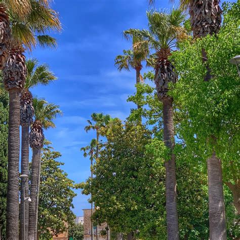 PARCO RIMEMBRANZE (2025) All You Need to Know BEFORE You Go (with ...