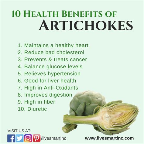 Are Artichokes Good For Your Gallbladder at Carolyn Bey blog