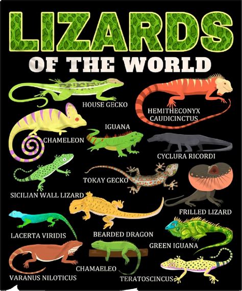 Image result for Lizard CPR