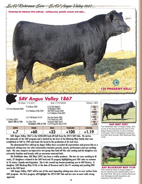 Schaff Angus Valley - 111th Production Sale by LivestockDirect - Issuu
