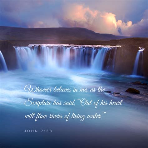 Image result for Media Storage Library